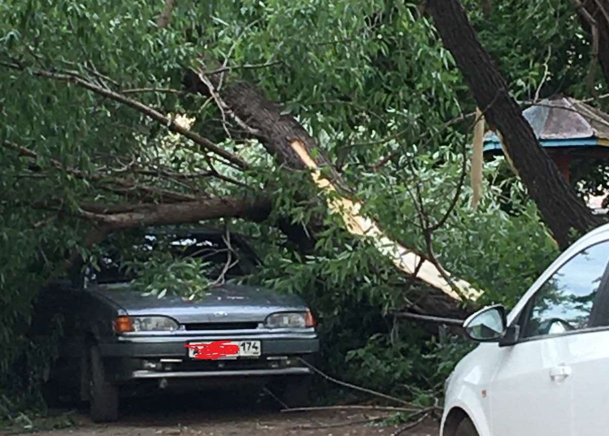 Во дворе одного из домов в Копейске дерево упало на автомобиль