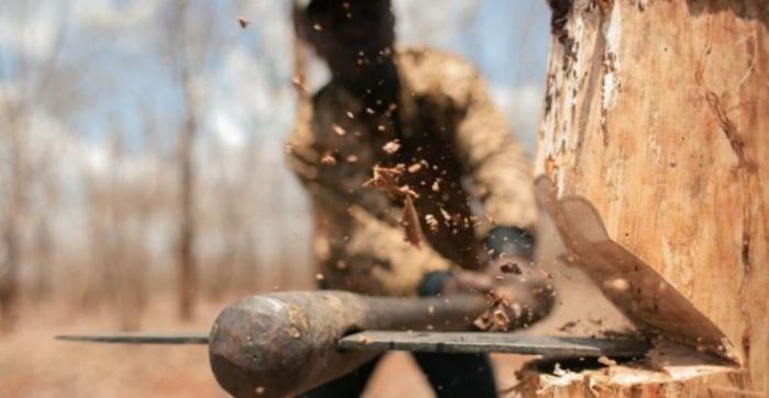 На треть миллиона рублей вырубил деревьев житель Кыштыма