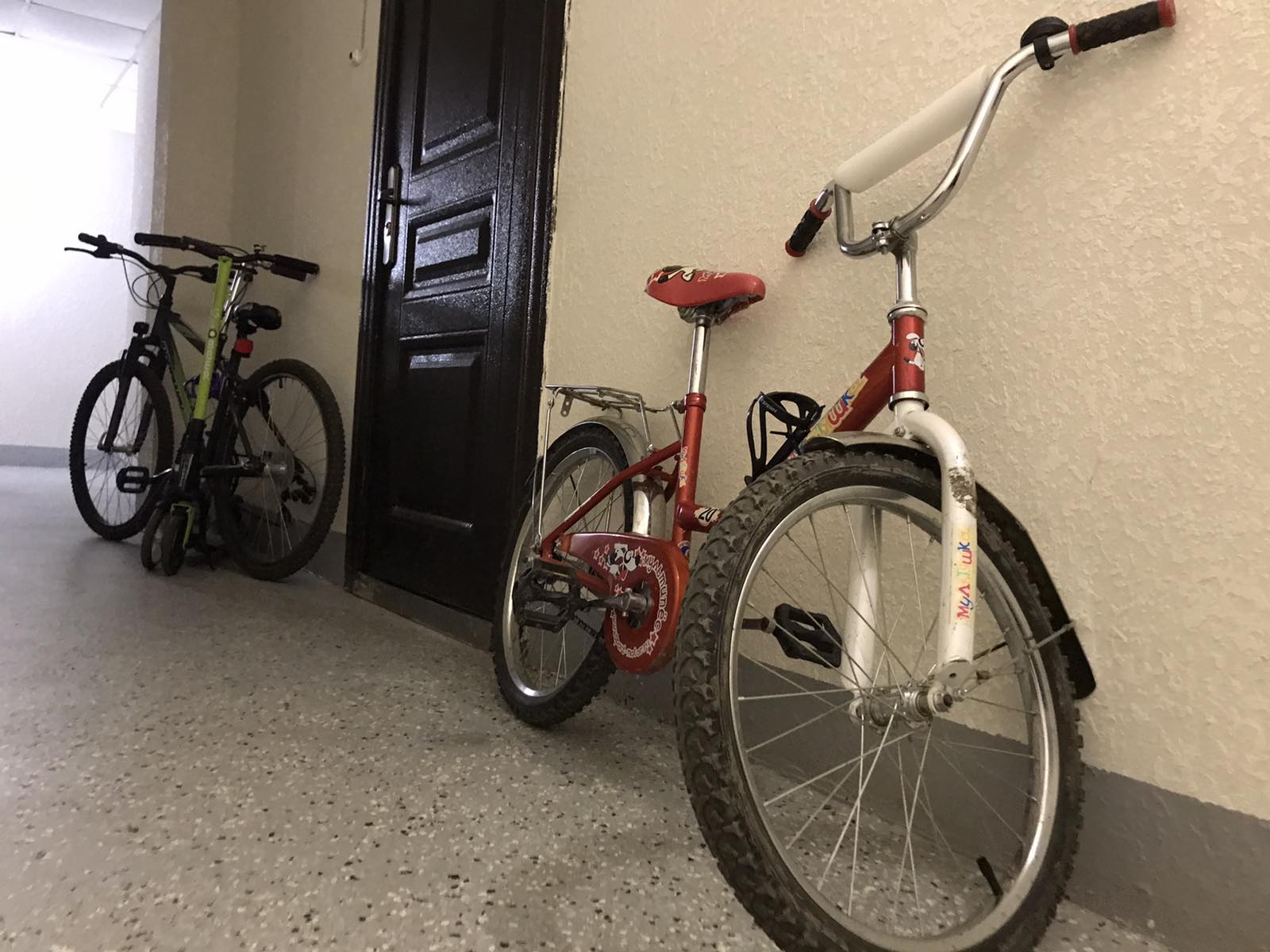 15-летний подросток украл велосипед, чтобы покататься