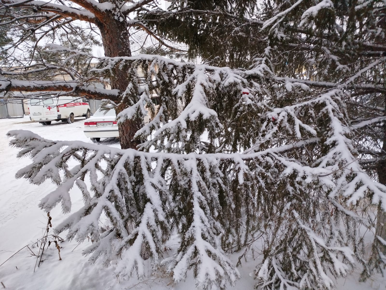 Морозный вторник ждёт копейчан 10 марта