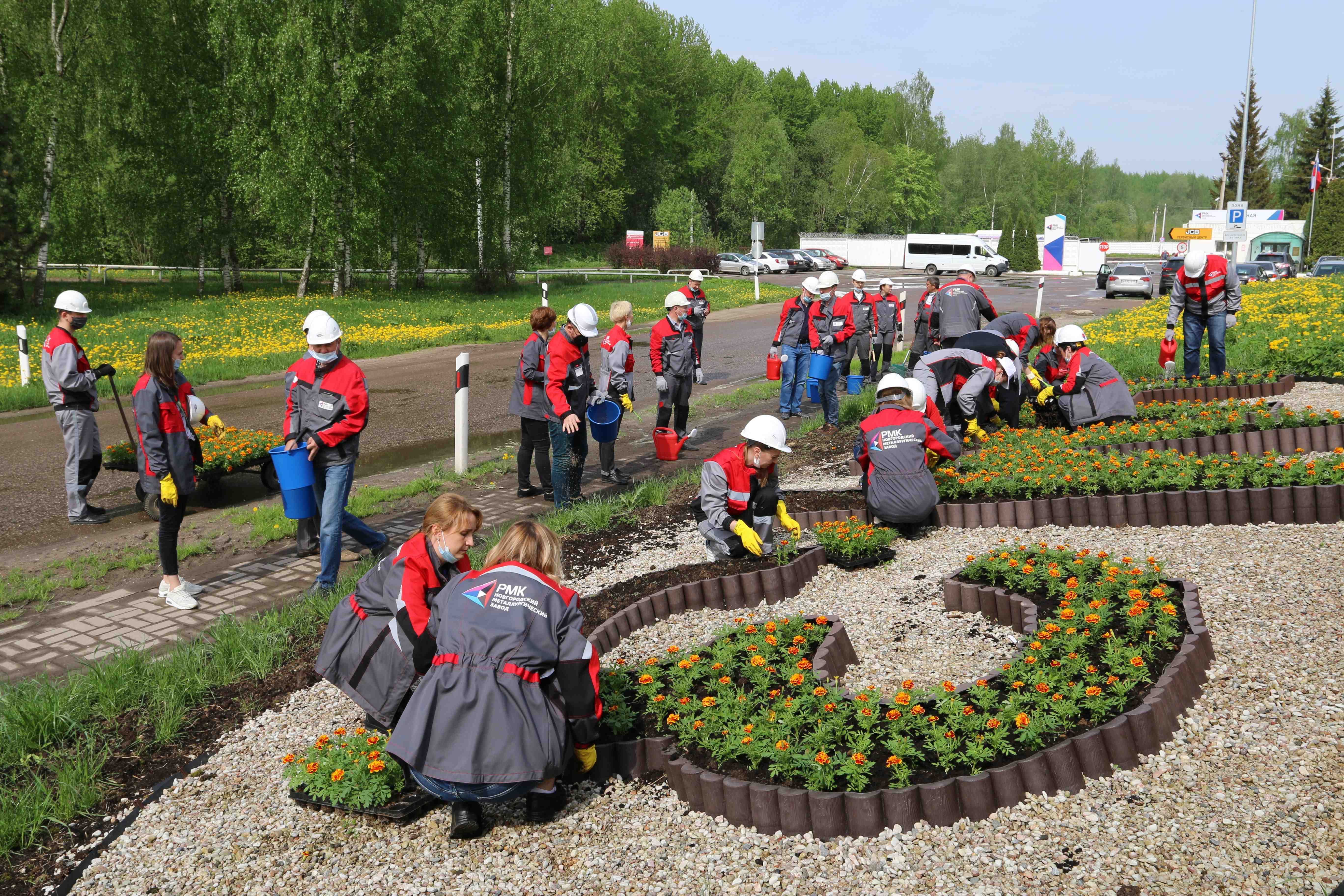 «Озеленим наш дом»: РМК высадила 108 тысяч деревьев и цветов