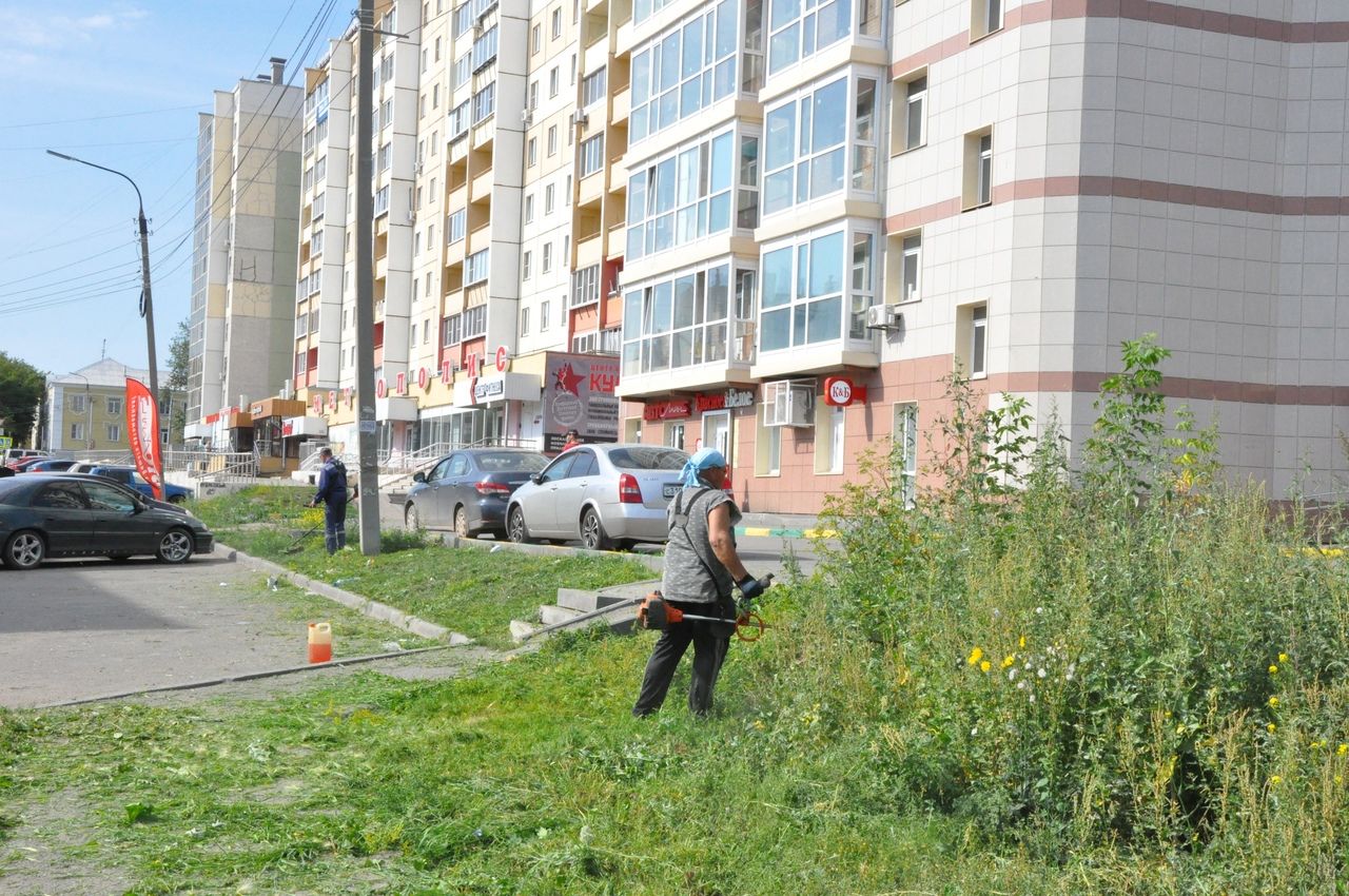 Глава Копейска поручил срочно скосить траву на улицах города