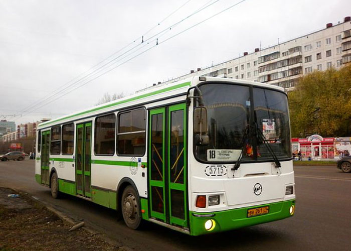 Отмененные в Челябинской области автобусы снова выйдут в рейс