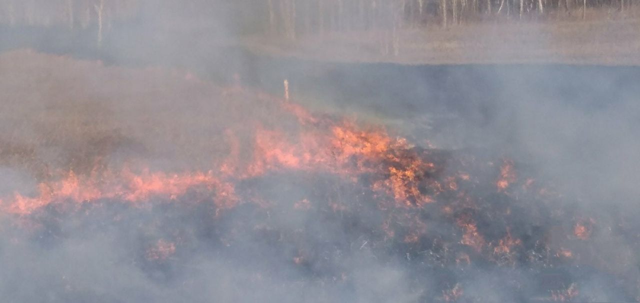 Копейск за выходные поставил рекорд области по возгораниям сухой травы