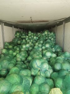  В Бугристом не пропустили 96 тонн овощей и фруктов из‑за нарушений маркировки