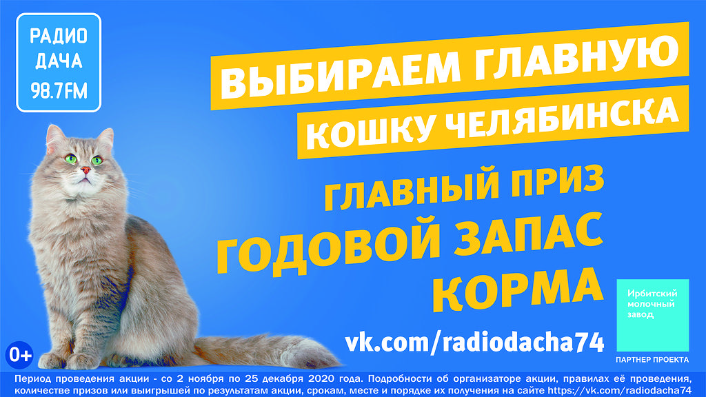 Радио Дача выбирает главную кошку Челябинска