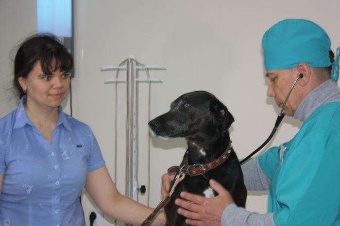 В Копейске открылся новый филиал государственной ветеринарной станции 