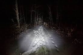 Позвонил 112 и замерз: на Южном Урале заблудившийся мужчина найден мертвым