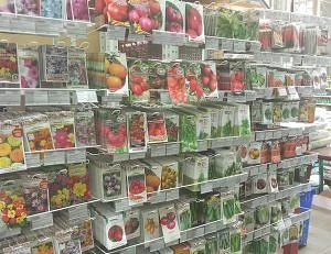 В Челябинске пресекли незаконную продажу семян