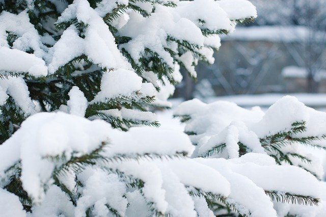 Снегопад надвигается на Челябинскую область