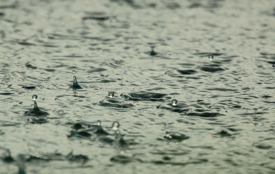 Копейчанам на 23 февраля обещают дождь и ветер