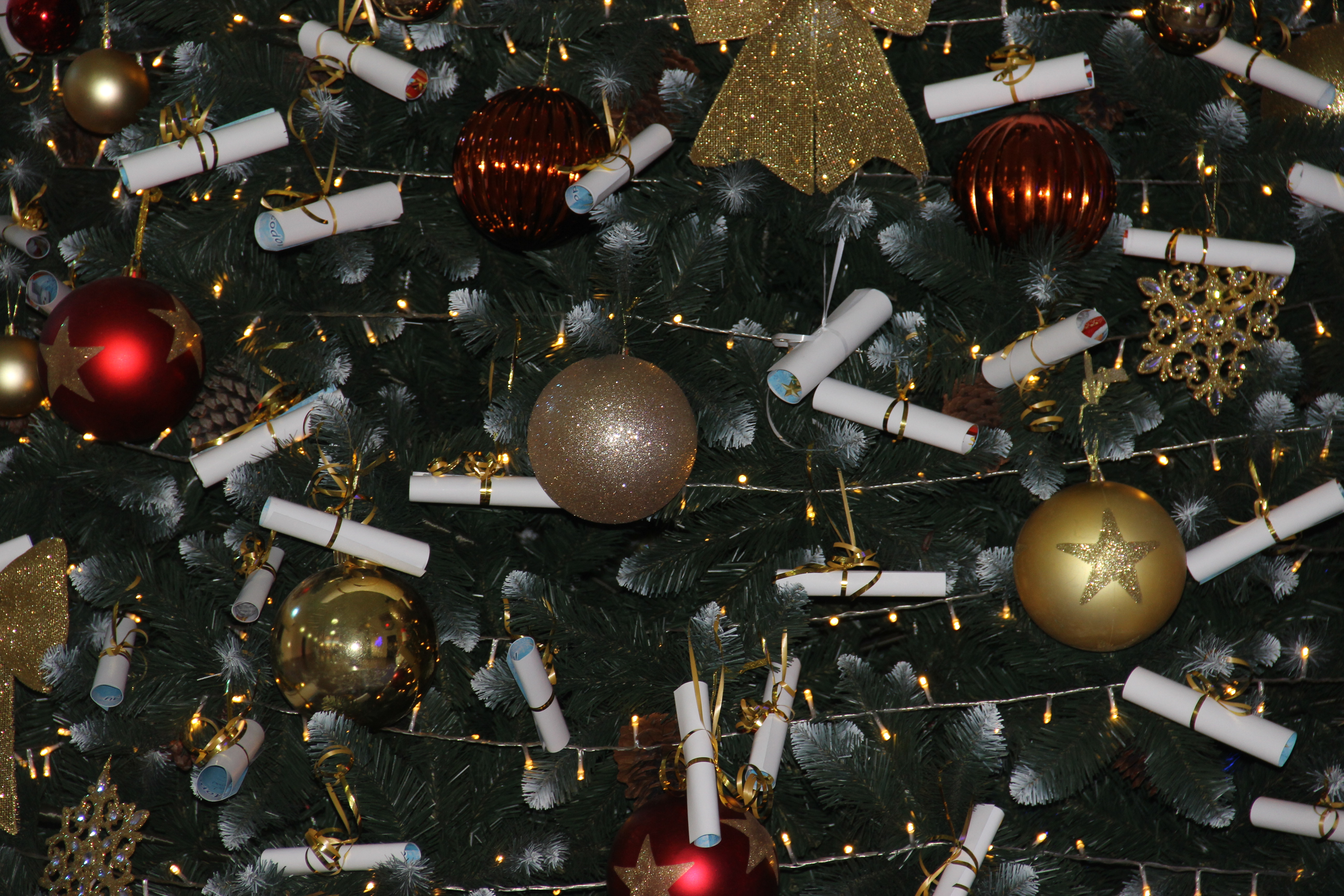 В Копейске стартовала акция «Ёлка желаний»