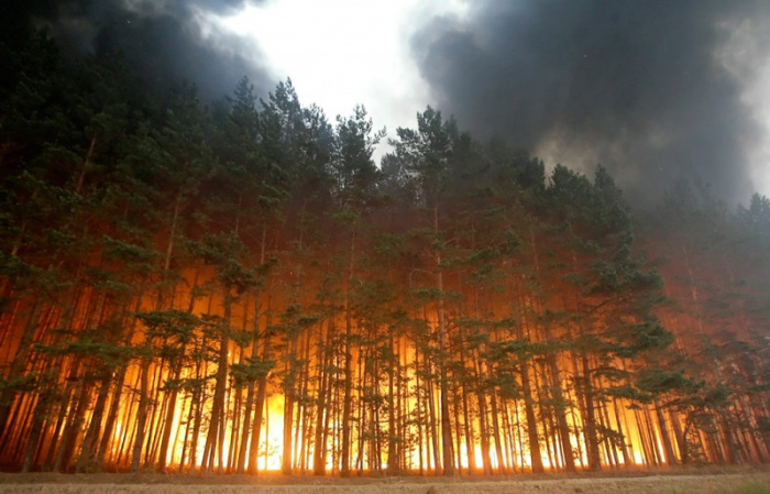 Почему горим? Эксперты откроют причины лесных пожаров на Южном Урале