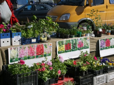В День выборов в Копейске откроется «Ярмарка садоводов»