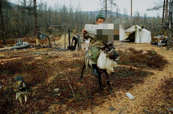 АмурОленевод.jpg