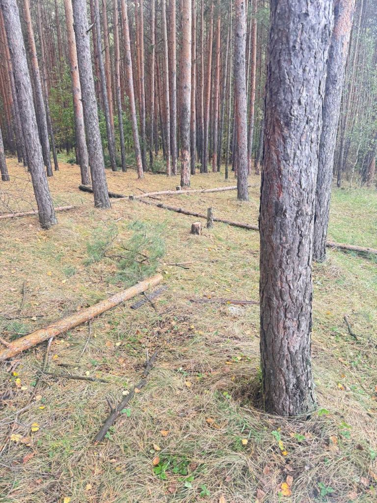 Изображение PNG 3.png