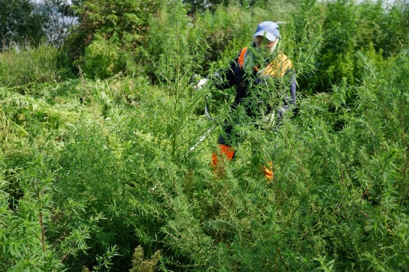 qZuVQi1HFOA.jpg qZuVQi1HFOA.jpg