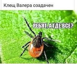images.jpg images.jpg