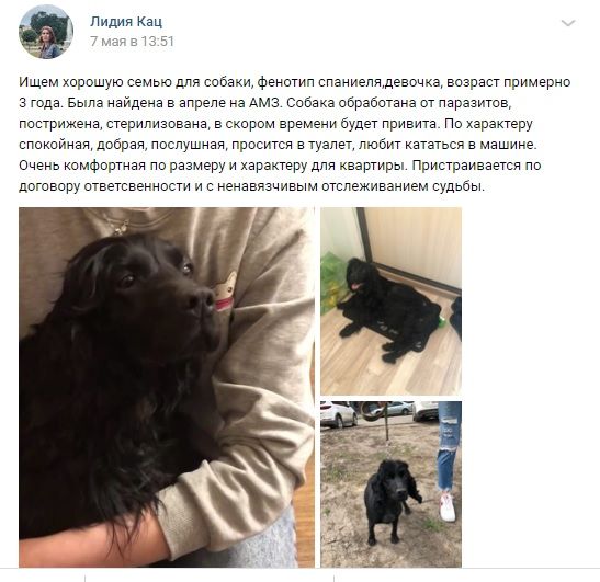 ищем.jpg ищем.jpg
