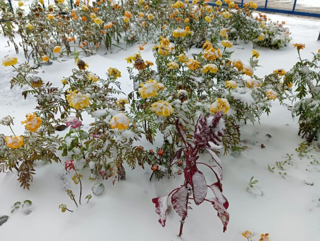 8715ebe1-ce83-4eb4-8281-88a88555f64e.jpg 8715ebe1-ce83-4eb4-8281-88a88555f64e.jpg