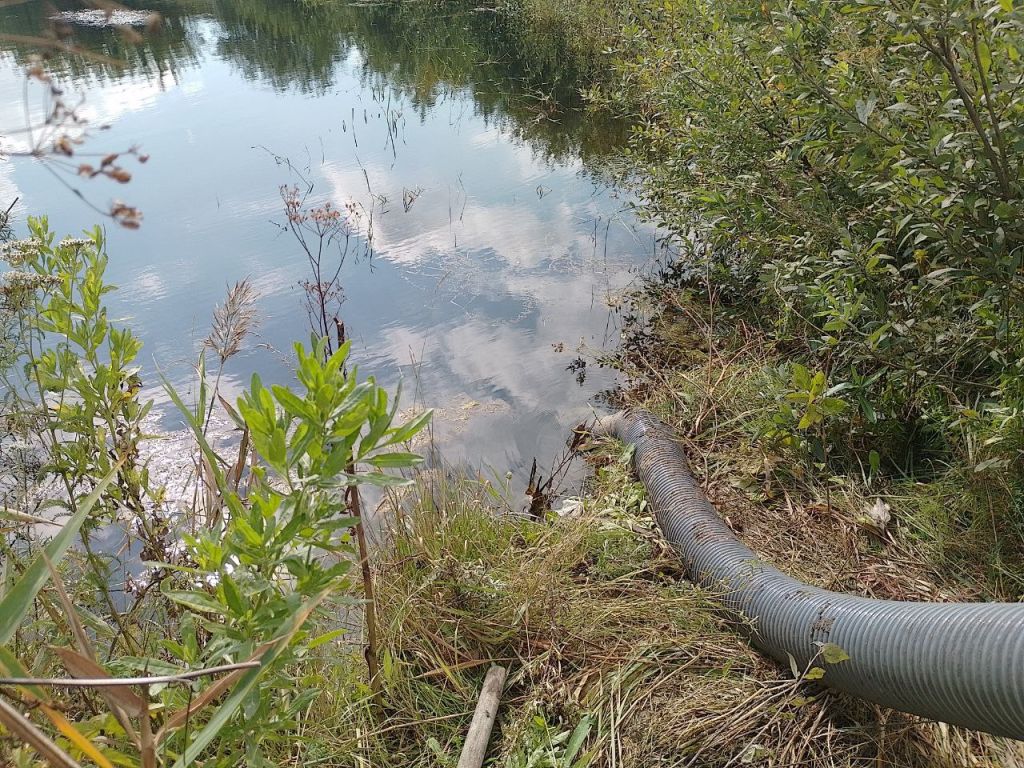 photo_2025-08-21_13-52-38.jpg photo_2025-08-21_13-52-38.jpg