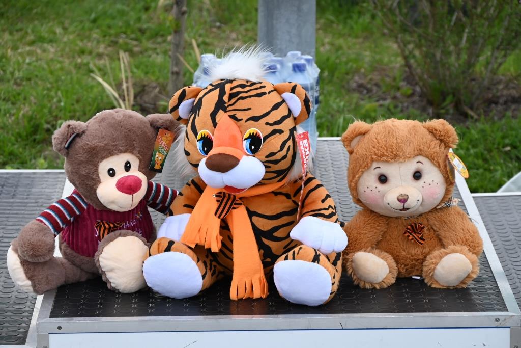 DSC_1623.JPG