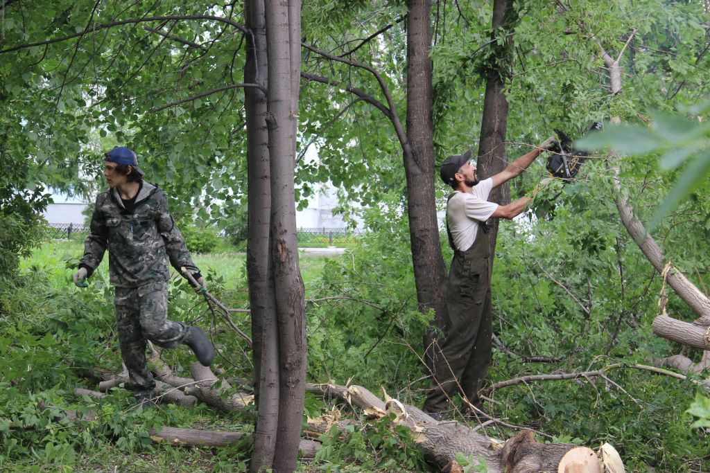 IMG_0857.JPG