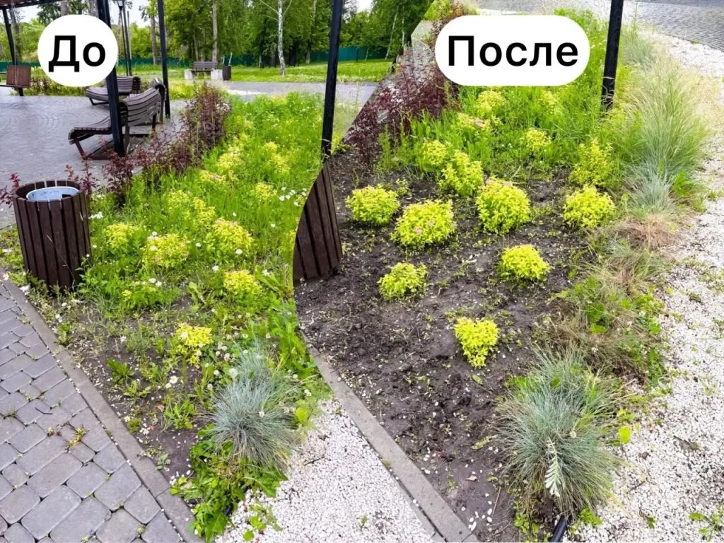 GQW4UUAi4b91mmIvtnovL2fNZXhIed5sqvmR5HatXUlh9_zRGszcI4Bd31g_XHhAYbd_9v5BL5l870N6LYmTl7gY.jpg