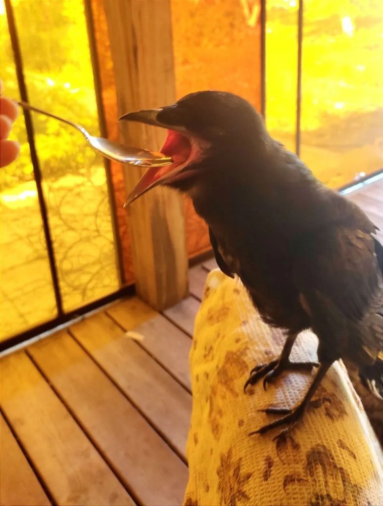 Прием микстуры.jpg