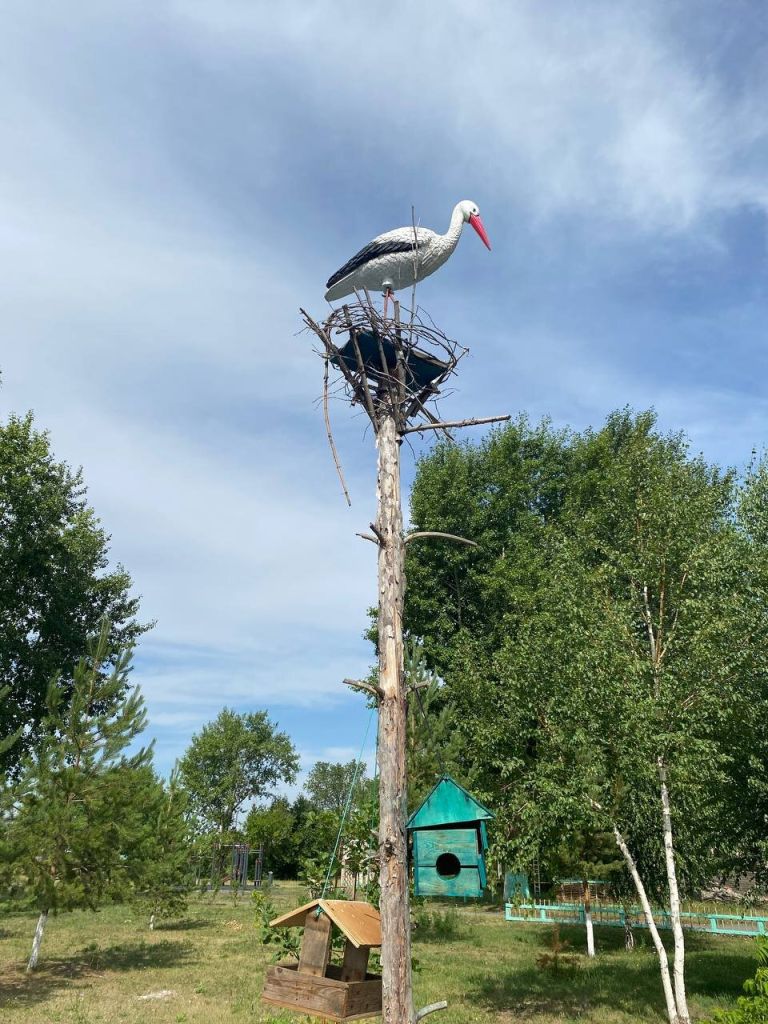 6b8e578c-ca3d-4d11-9a39-d4470e40af16.jpg 6b8e578c-ca3d-4d11-9a39-d4470e40af16.jpg