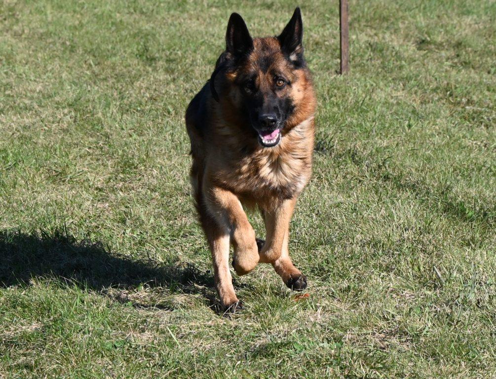 DSC_9128.JPG
