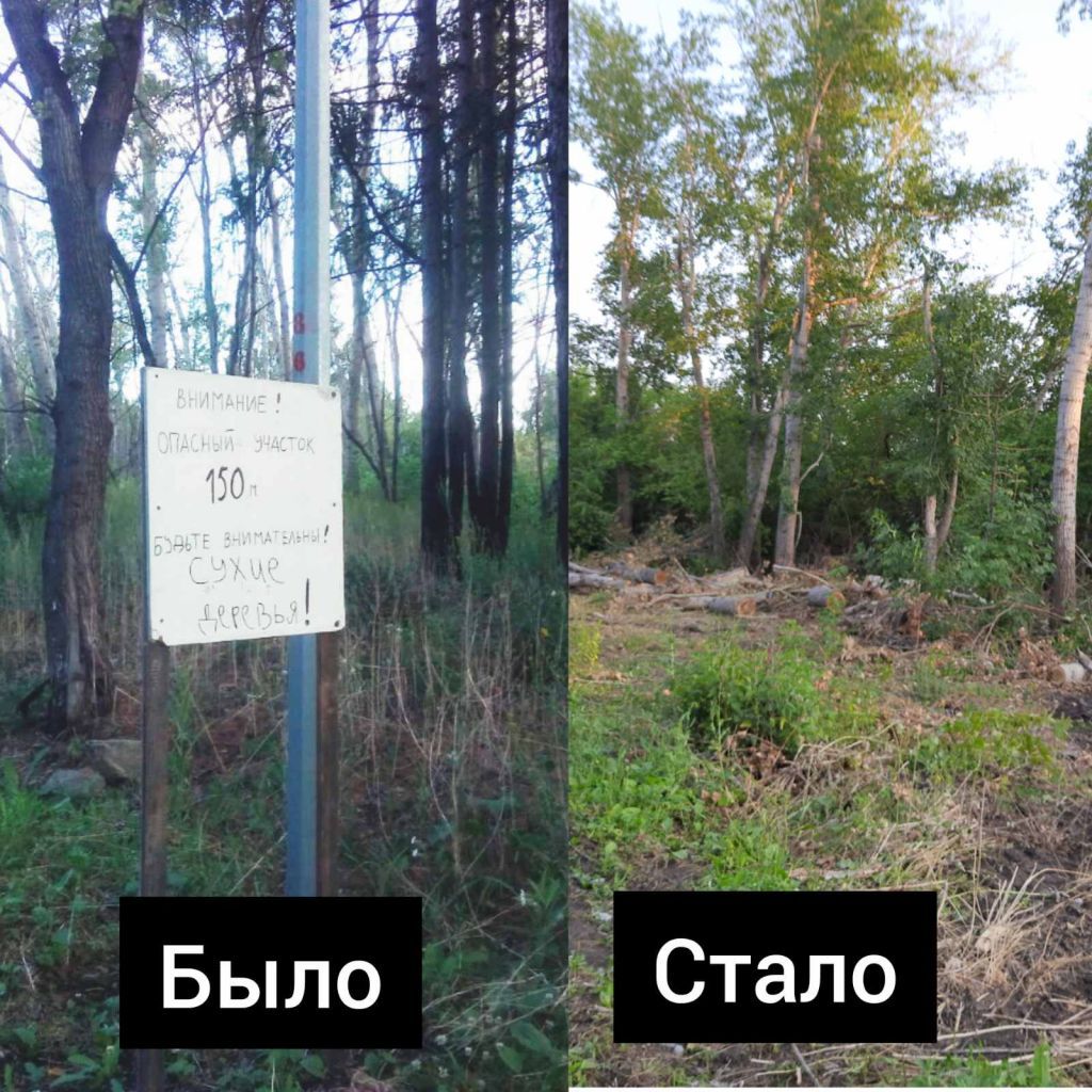 коллаж.jpg коллаж.jpg