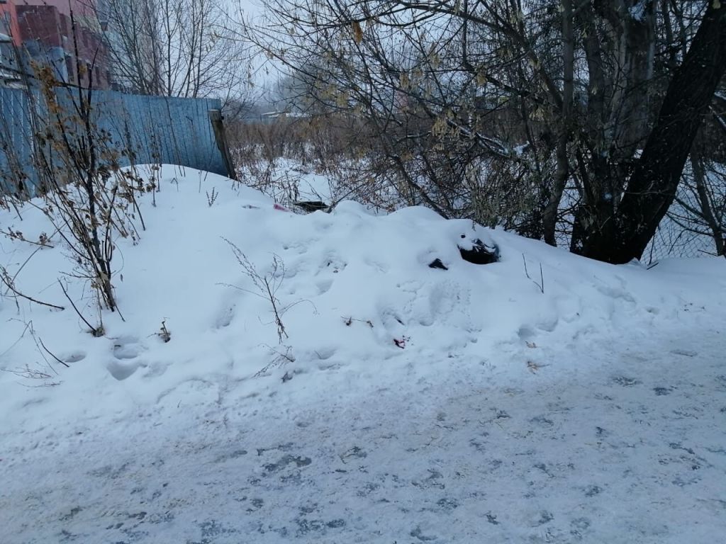 мусор зима.jpg мусор зима.jpg