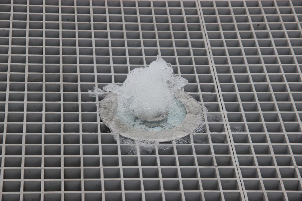 IMG_6099.JPG