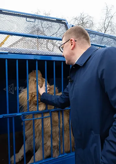 У льва Симбы и леопарда Евы новый дом: переезд прошел хорошо