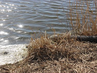 В Копейске ведутся работы по водопонижению