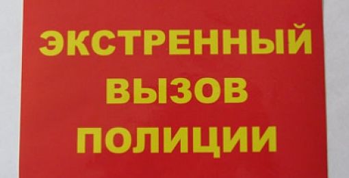 Вызов полиции. Экстренный вызов полиции. Знак тревожная кнопка вызова полиции. Объект оборудован кнопкой экстренного вызова полиции картинка. Экстренный вызов полиции табличка.