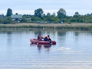 Два мужчины утонули в Чебаркульском районе при спасении лебедей