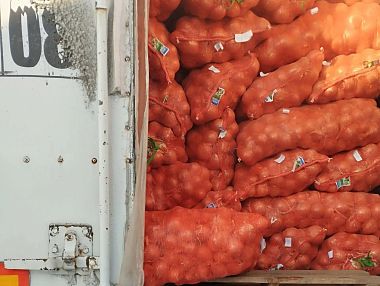 Через Челябинскую область ввезли около 1,1 тысячи тонн овощей и фруктов