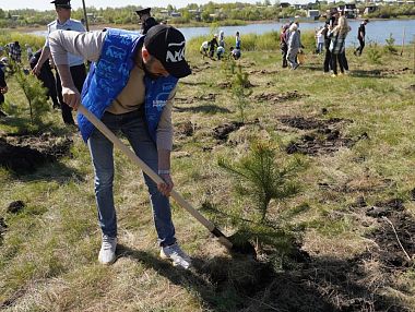 Партия «Единая Россия» организовала акцию «Сад Победы»