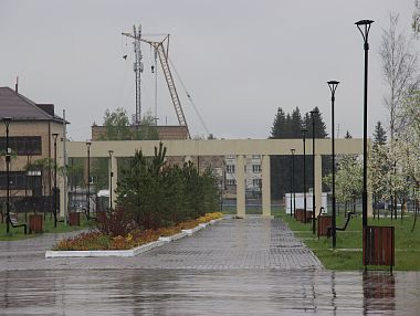 В Копейске проведут обработку парков от клещей