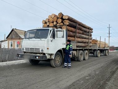Незаконная вырубка леса: какая грозит ответственность и куда сообщать о нарушениях