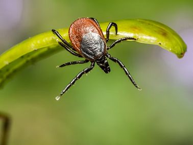 Предупреждён не значит вооружён