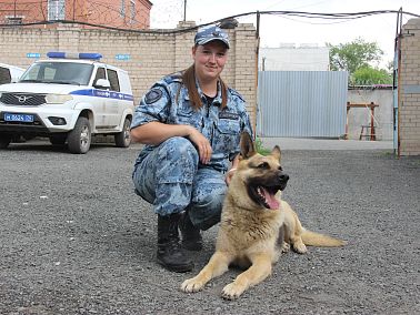 Кинологическая служба: когда человек и собака – одна команда