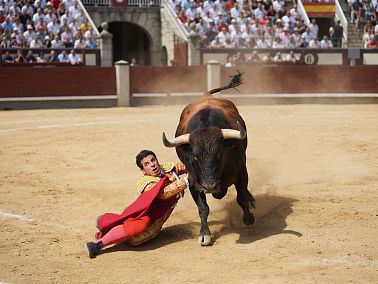 Испанский стыд