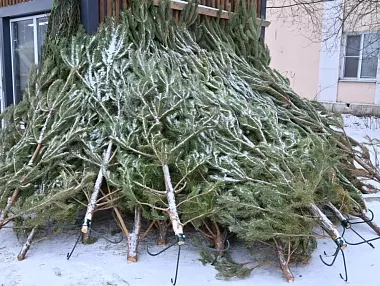 В преддверии Нового года в Копейске стартовала операция «Ель»