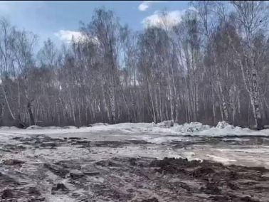 Возле озера Смолино в Челябинске убрали несанкционированную свалку