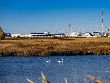 Благодаря нефтепроводчикам рыбы прибавилось