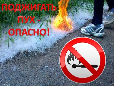  Тополиный пух в Копейске: невидимая угроза городских пожаров