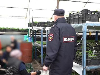  Массовые проверки выявили серьезные нарушения миграционного законодательства в Копейске